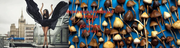 jwh Бронницы