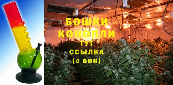 2c-b Бородино