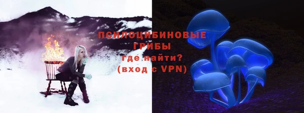 2c-b Бородино