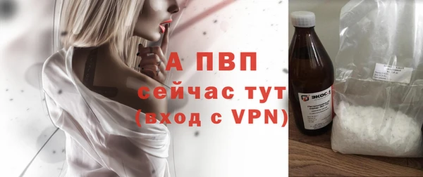 2c-b Бородино