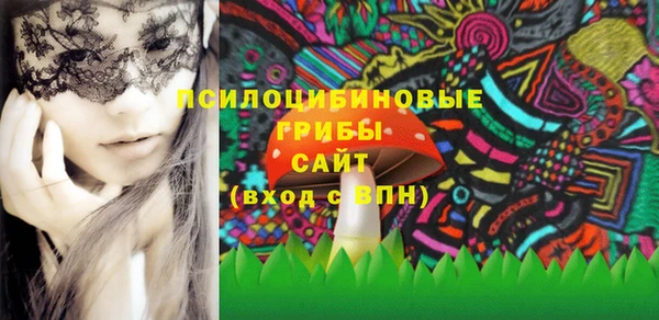 2c-b Бородино