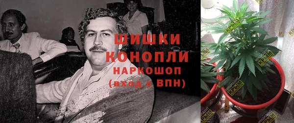 2c-b Бородино