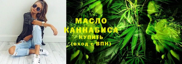 2c-b Бородино