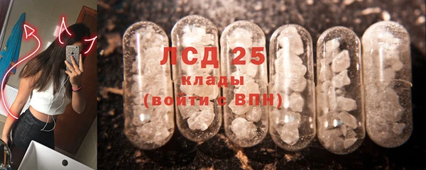 стафф Володарск