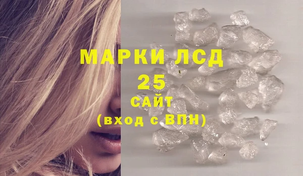 PSILOCYBIN Волосово