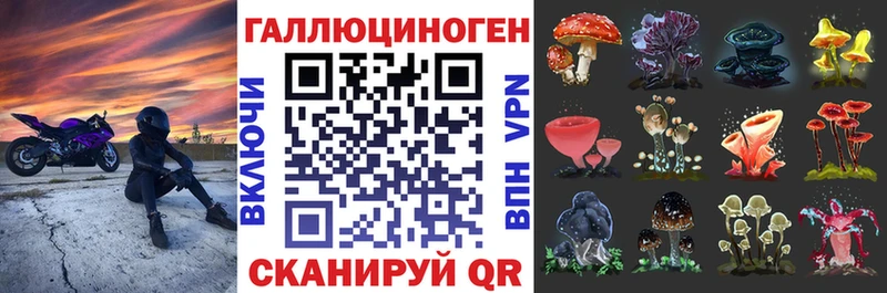 Псилоцибиновые грибы GOLDEN TEACHER  Купить закладки  Советск 